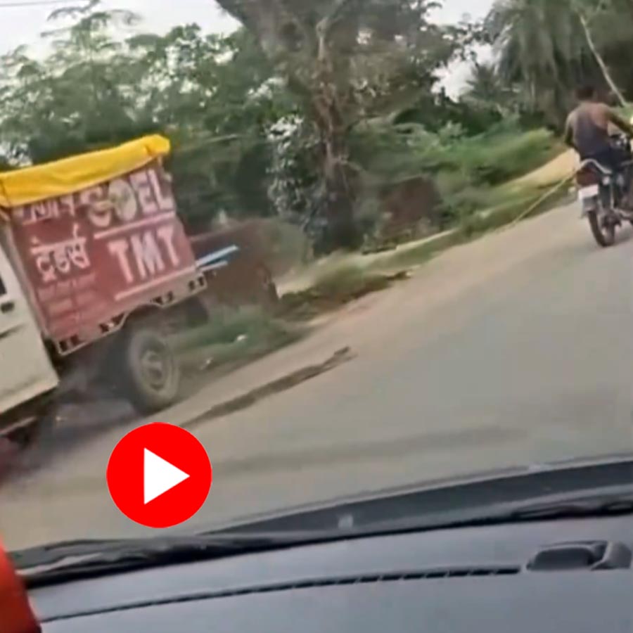 Viral Video | Video shows man pulling python by tying it with bike dgtl ...