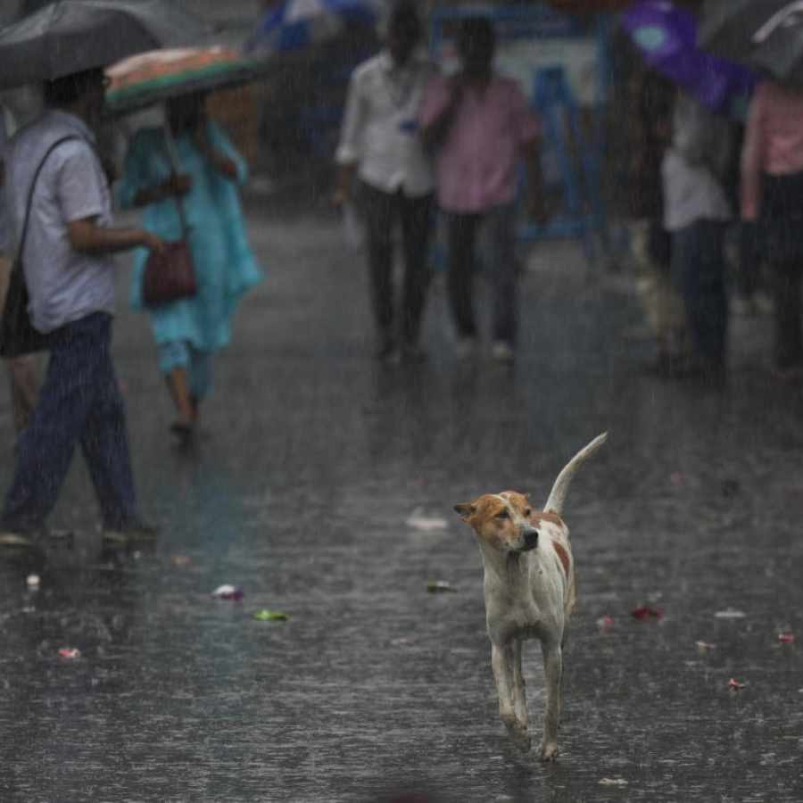 Thunderstorm alert issued for several districts of Bengal, heavy to very heavy rain in few places dgtl