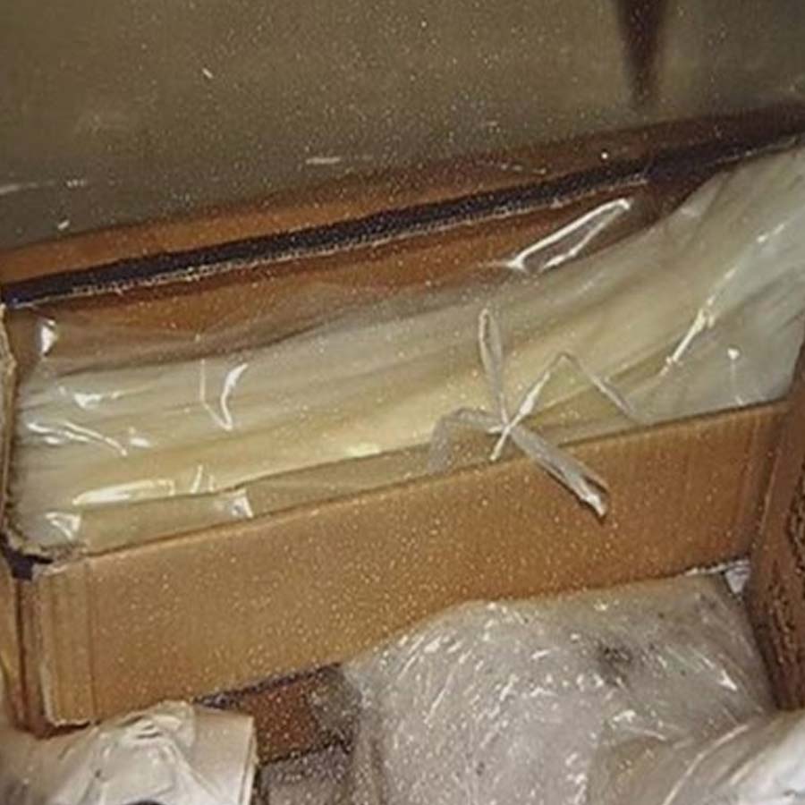 All you need to know about Shakereh Khaleeli Murder Case