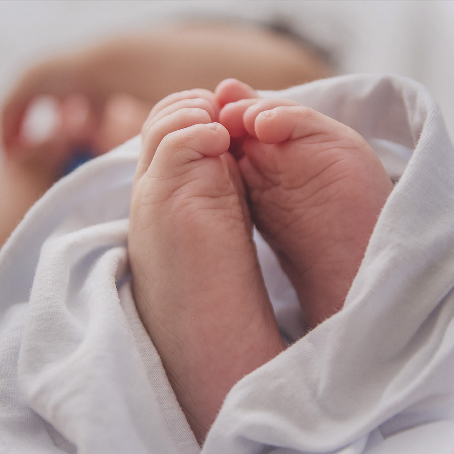 All you need to know about Shakereh Khaleeli Murder Case