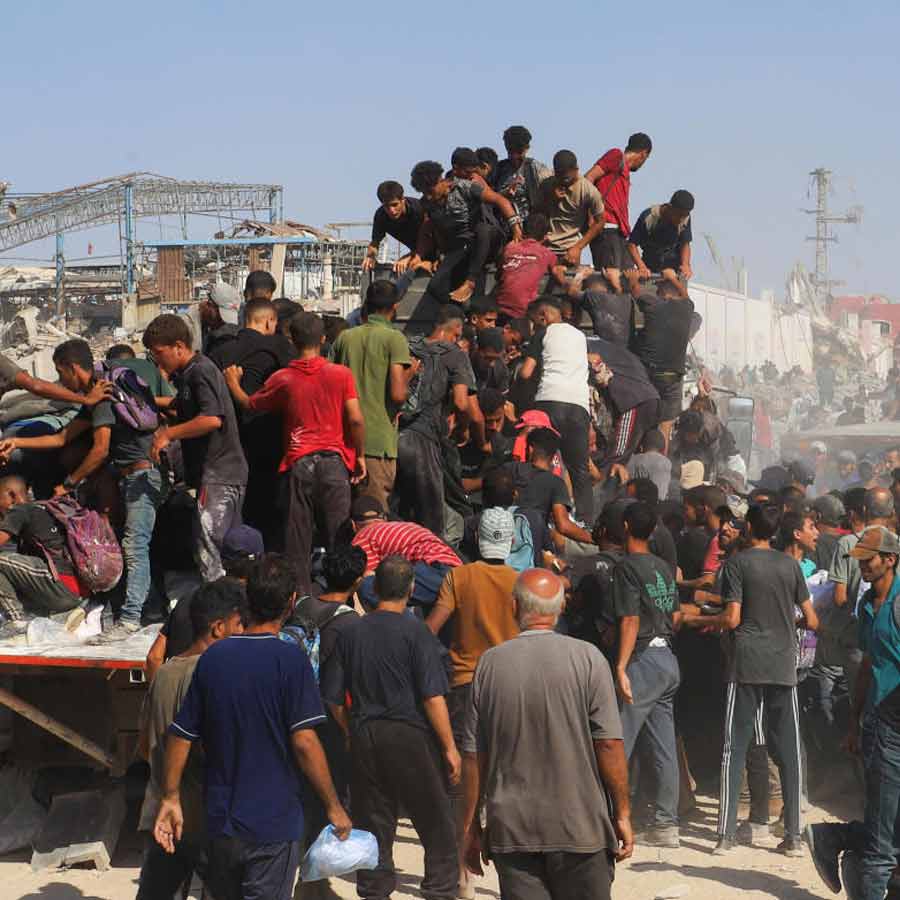 More people dies in Gaza seeking aid and food dgtl