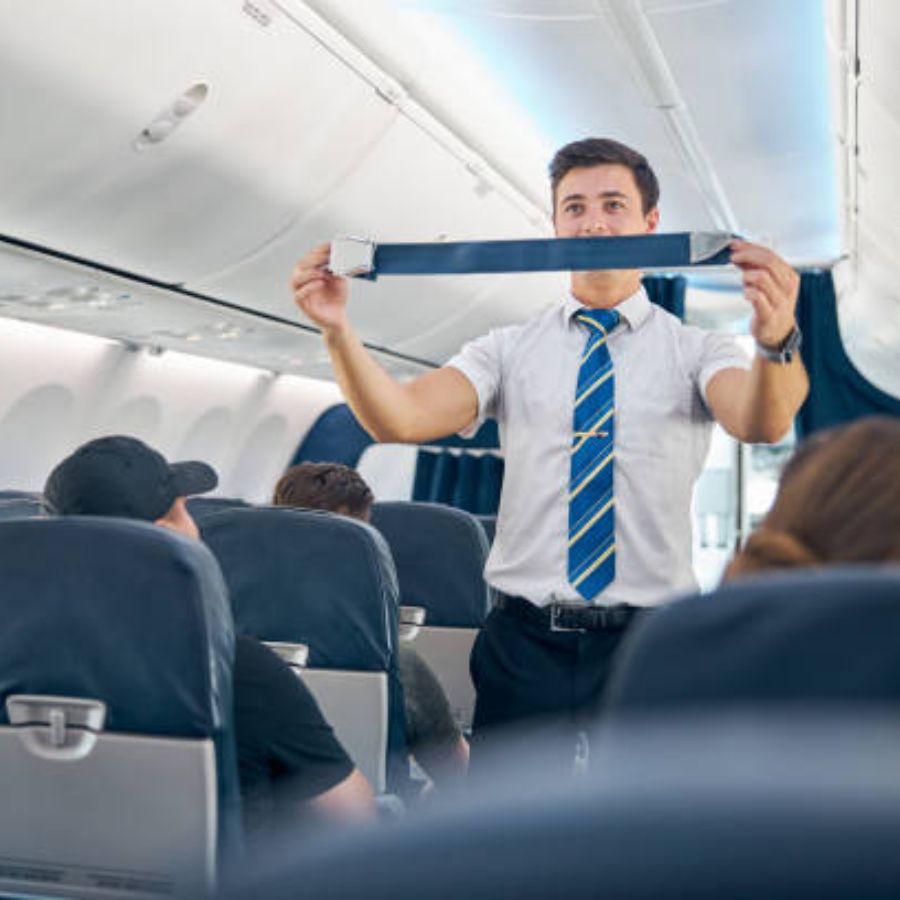 The 'cabin crew' also ensures in flight passengers safety.