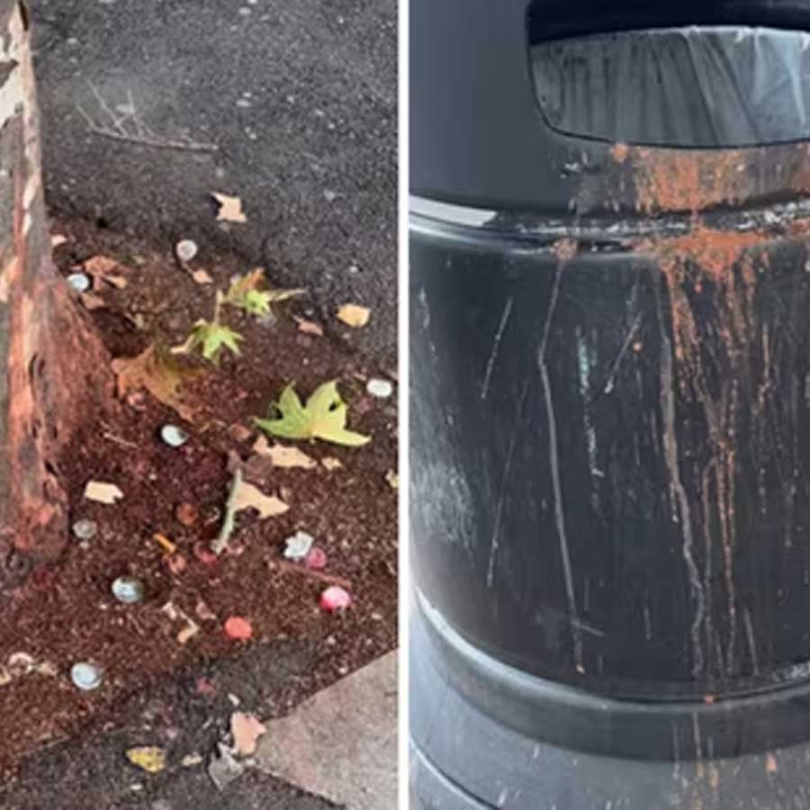 Paan strains on streets of London, some people blaming migrants dgtl