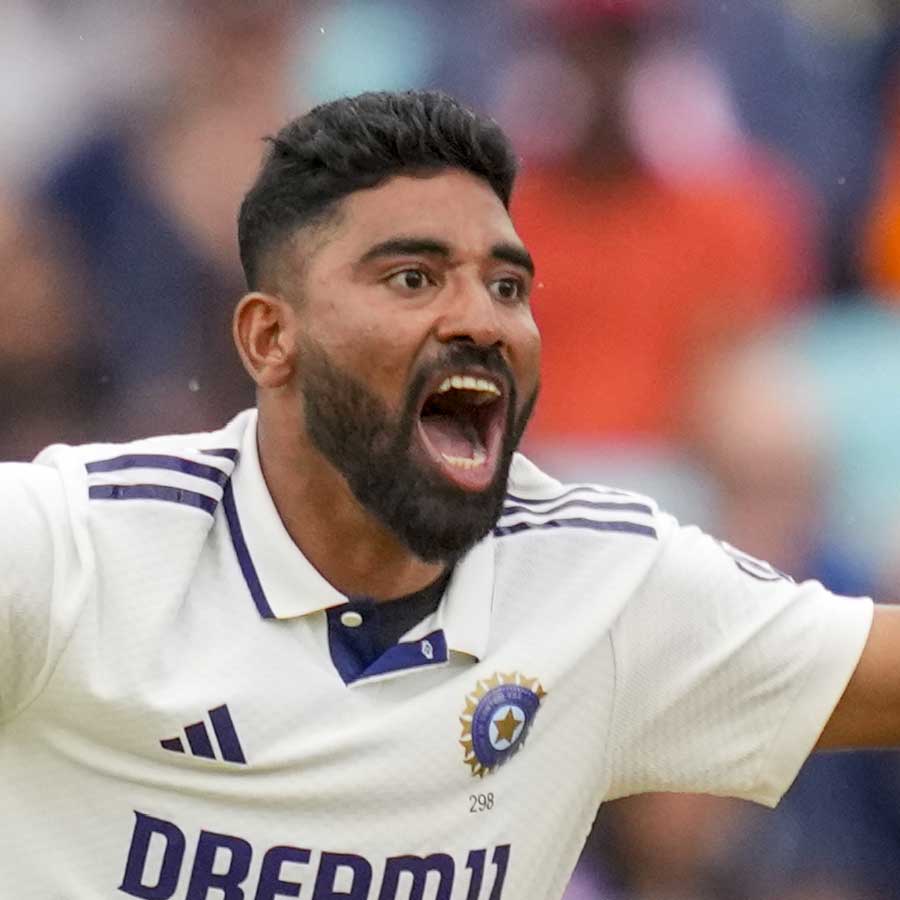 cricket