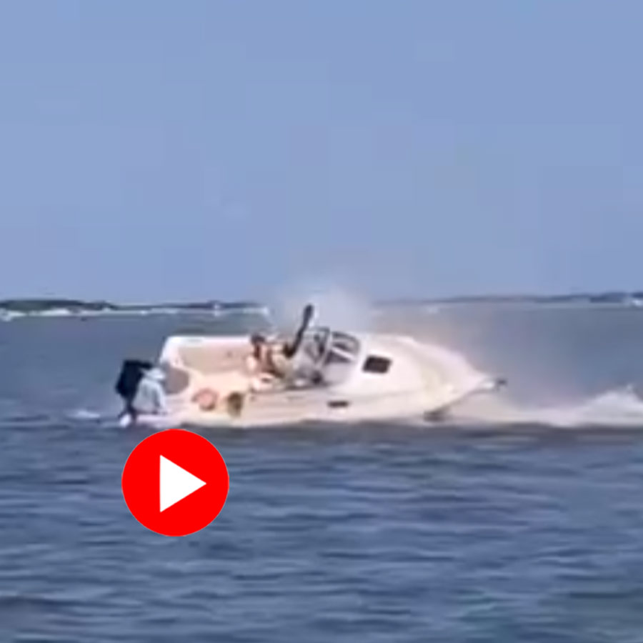 Boat and whale collision off Jersey Shore coast