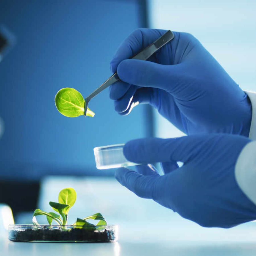 Biotechnology teaches a variety of subjects, from crop production to disease diagnosis.
