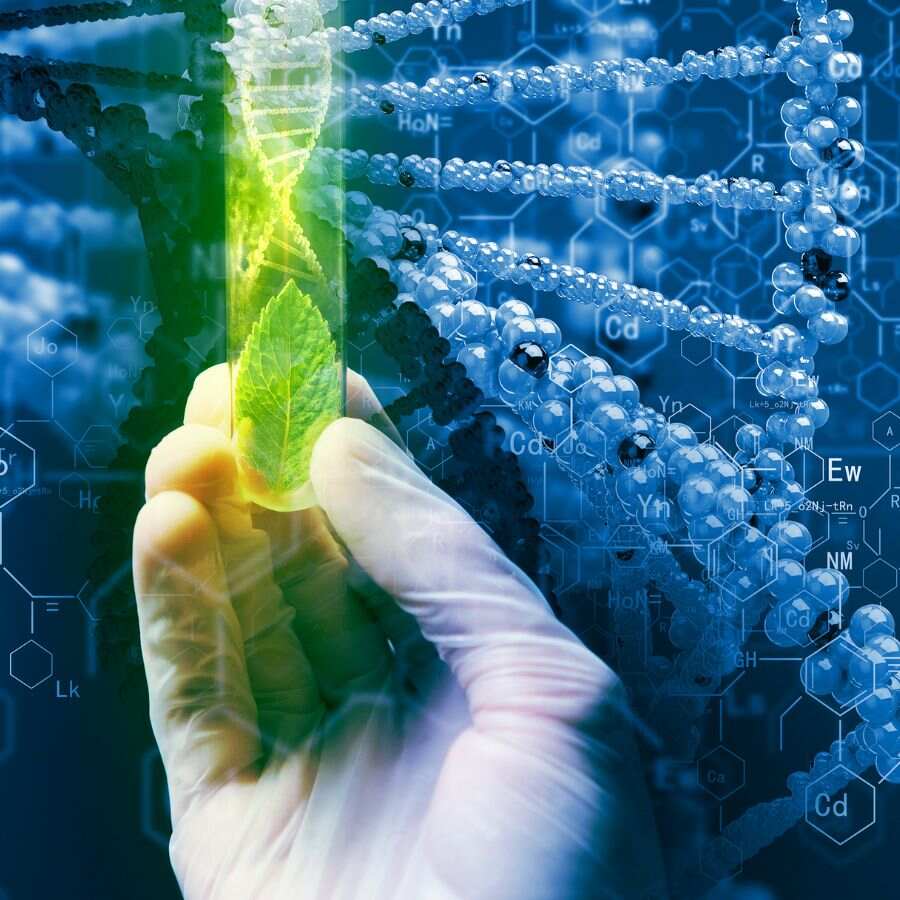 Pharmaceutical manufacturing companies, agricultural institutions, and the bioproducts industry are in demand for those with undergraduate and postgraduate qualifications in biotechnology.