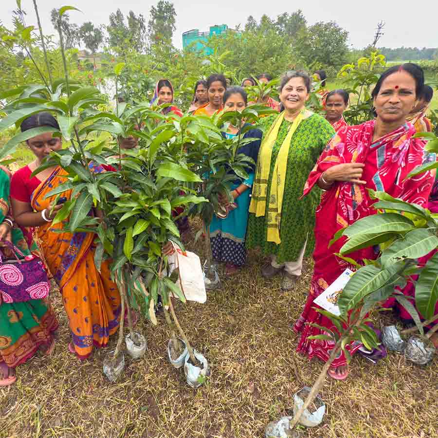 A new initiative of SHER to save Sundarbans starts from Global Tiger Day 2025 dgtld