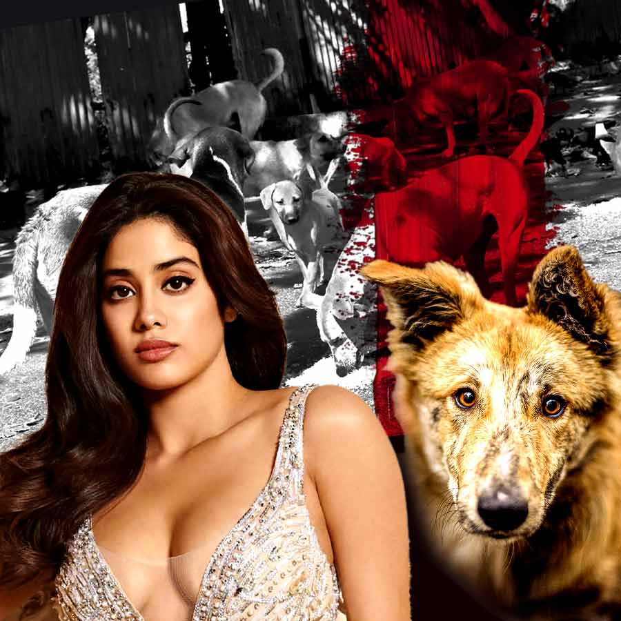 Actress Janhvi Kapoor reacted to the decision to get rid of stray dogs through a brutal way dgtl