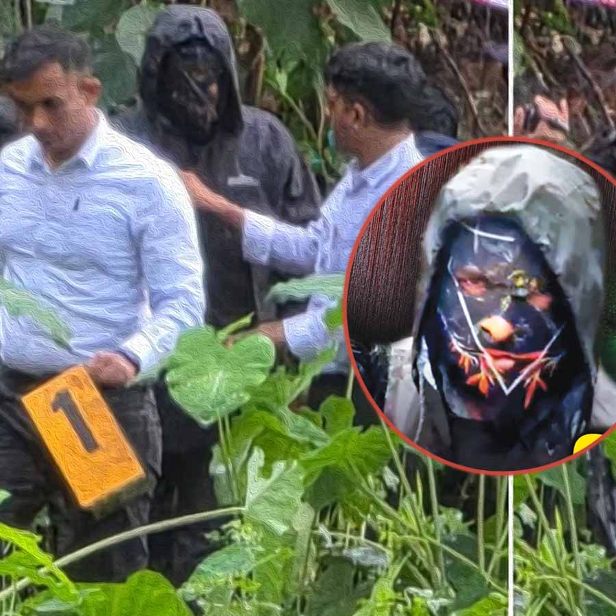 Dharmasthala SIT Probe finds skeletal remains in two sites dgtl