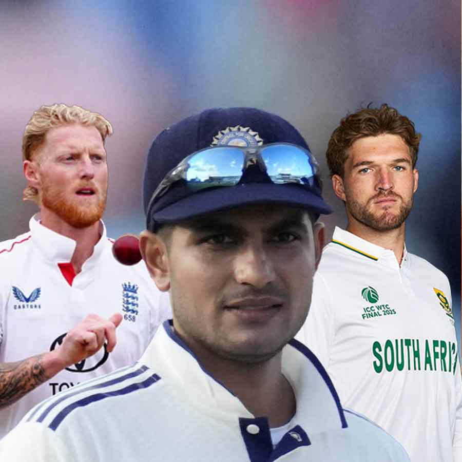picture of cricket