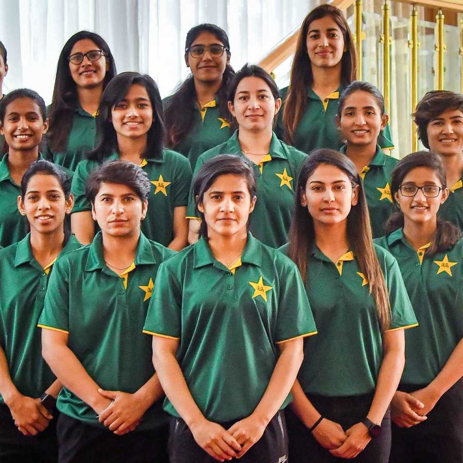 picture of cricket