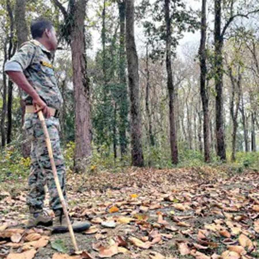 Oppression of elephants at Kranti
