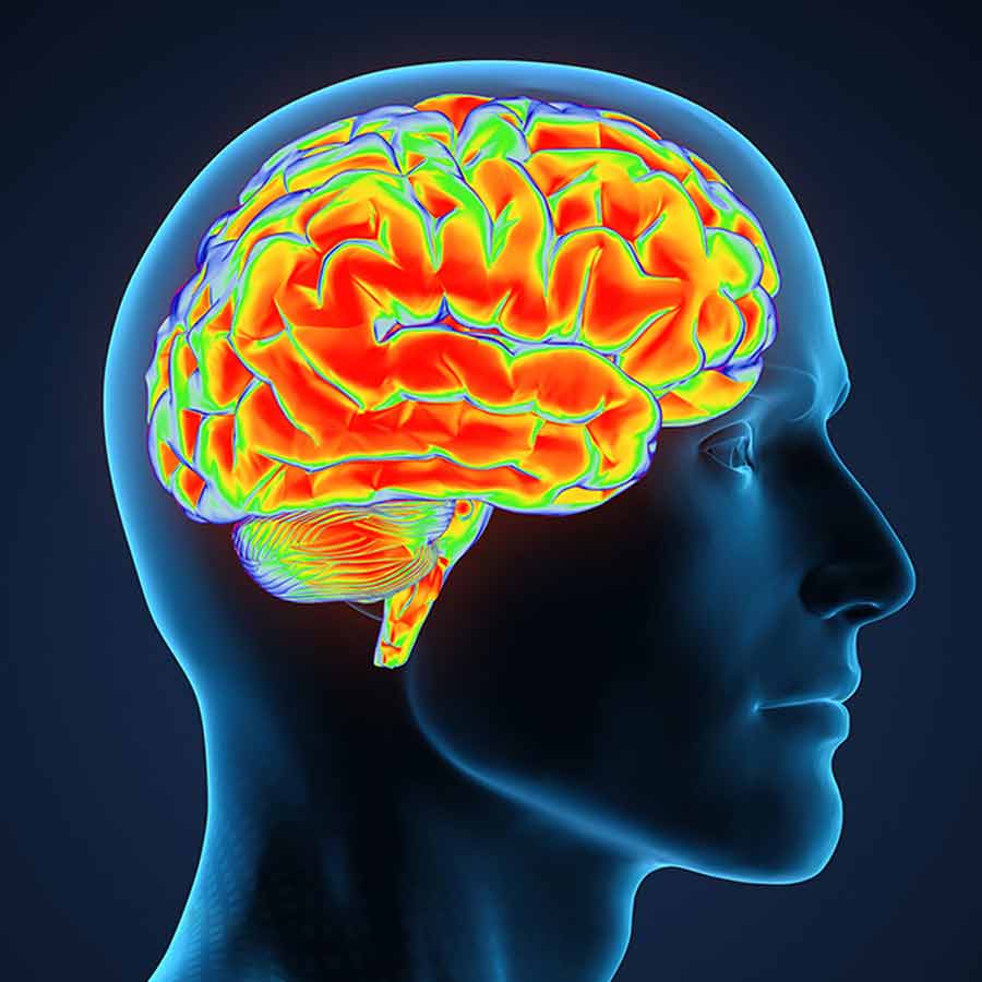 Lithium supplement finds probable solutions of Alzheimer’s