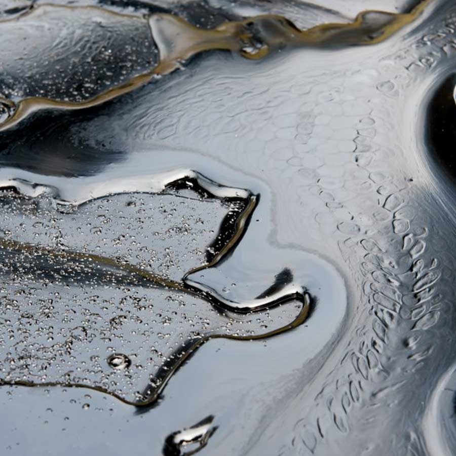 US wanted India should buy more Russian oil during initial phase of Ukraine war 