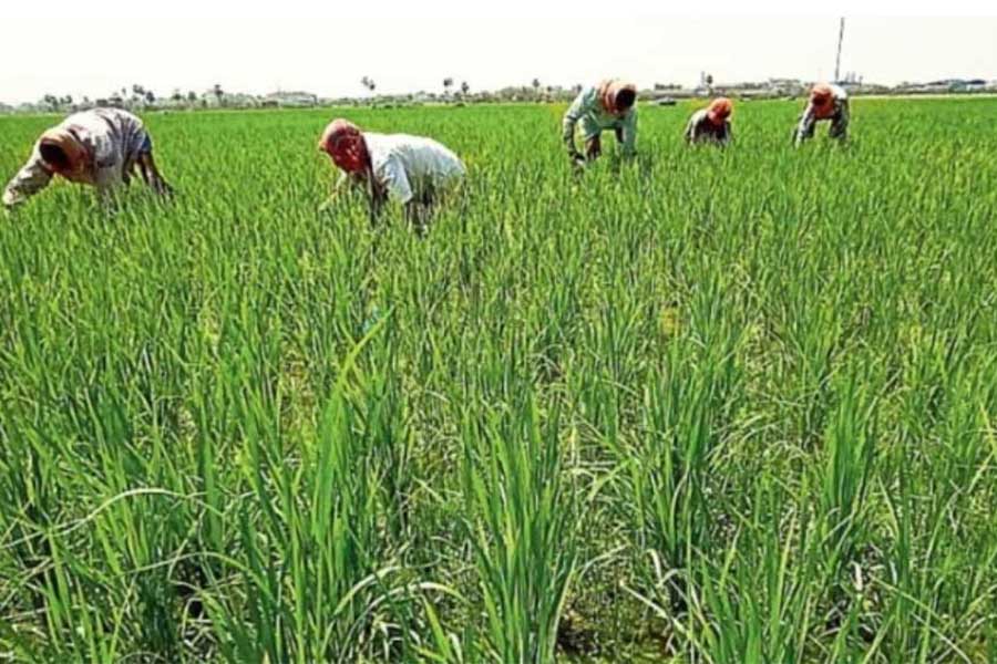 US President Donald Trump’s tariff impact how brutal for Indian economy