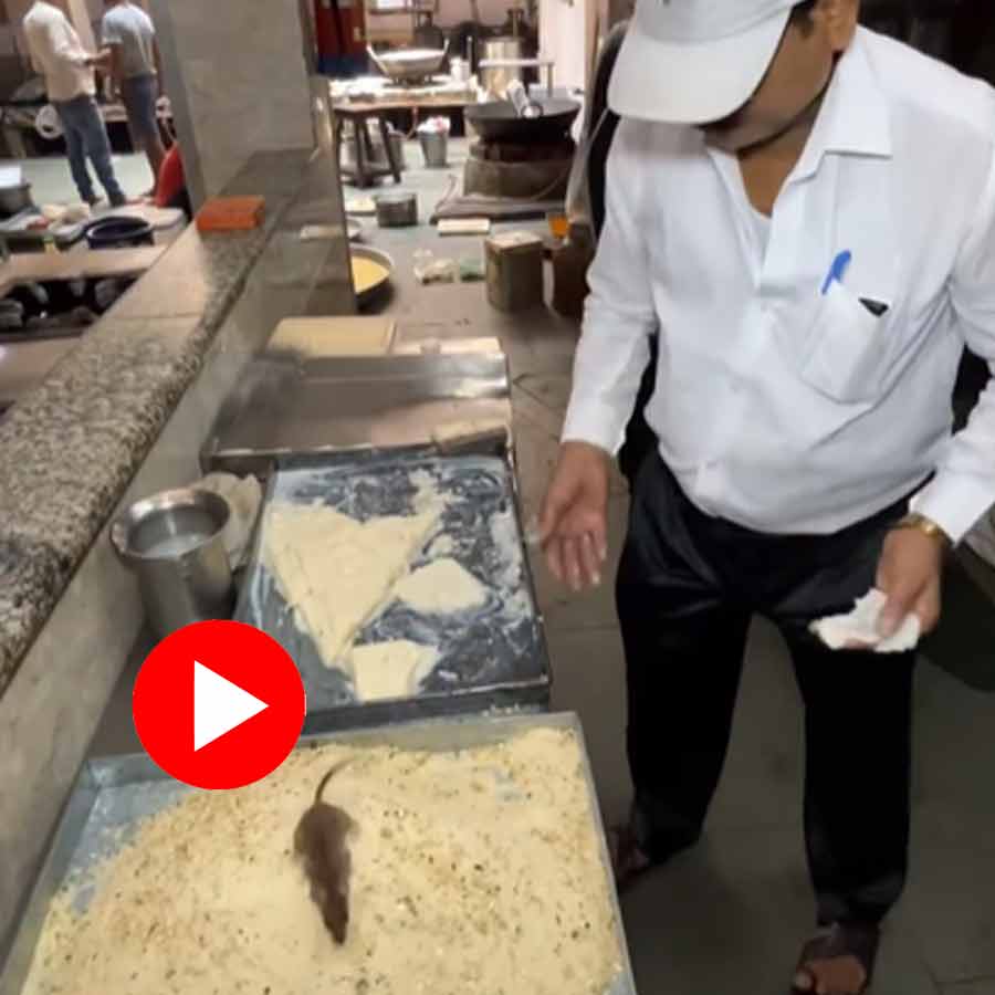 Video of rat walking on malai tray in Lucknow sweet shop goes viral dgtl