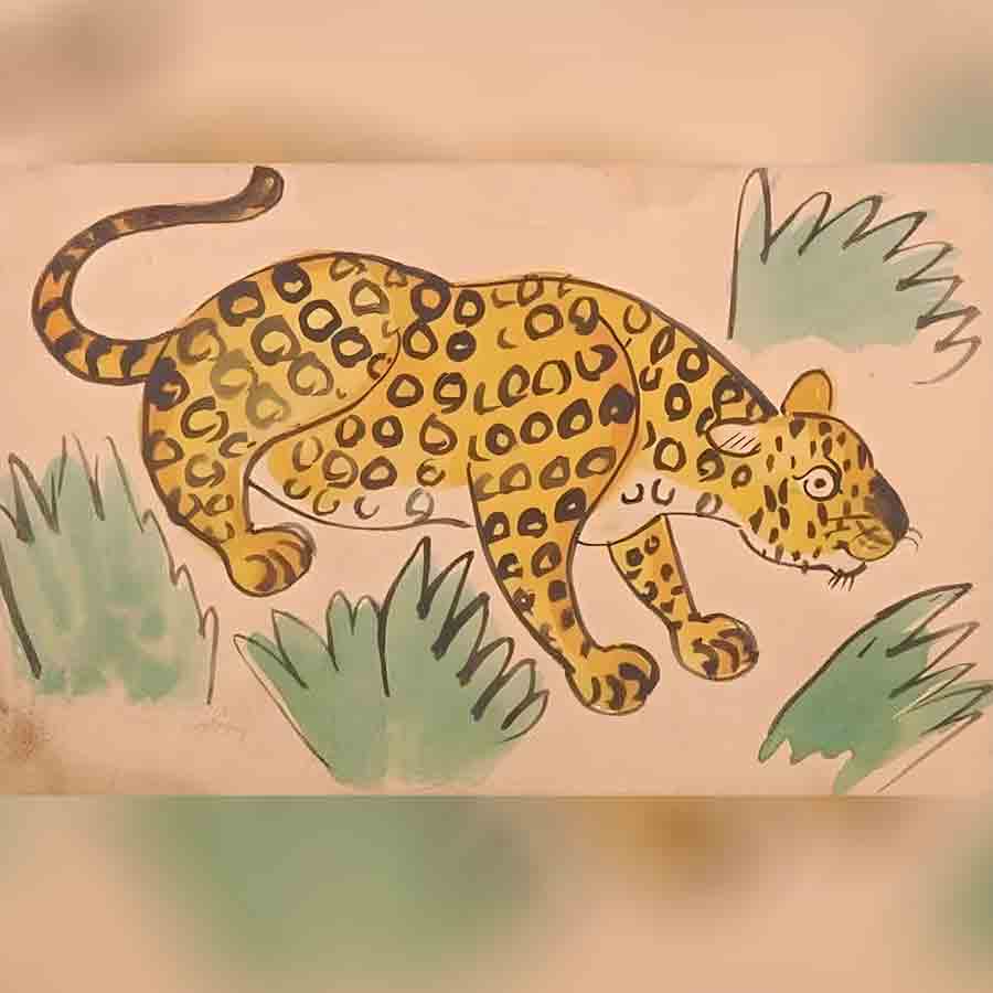 Kolkata Karcha: Old times when Tiger was kept as pet in Kolkata also