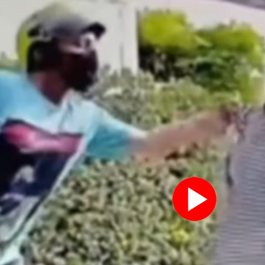 thief apologizing after he attempted to rob a woman