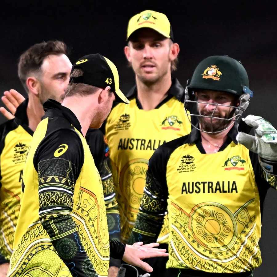 picture of cricket