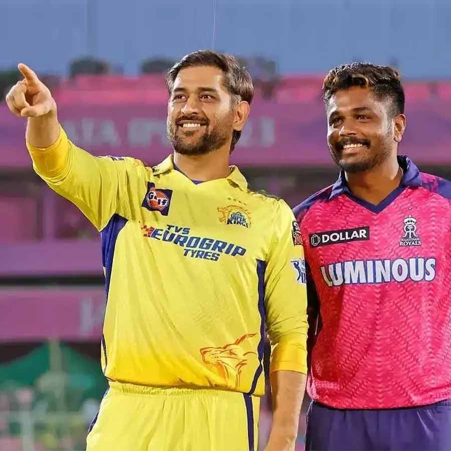 cricket