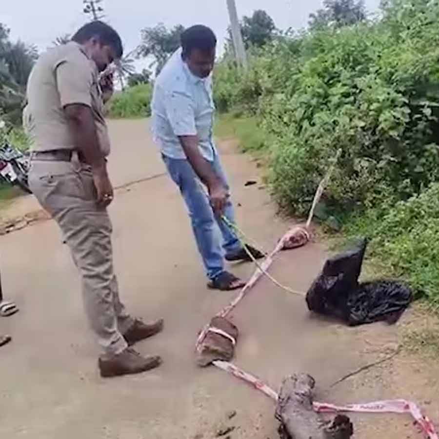 Woman’s body parts and head found at ten different places in Karnataka, police identify victim by tattoo dgtl