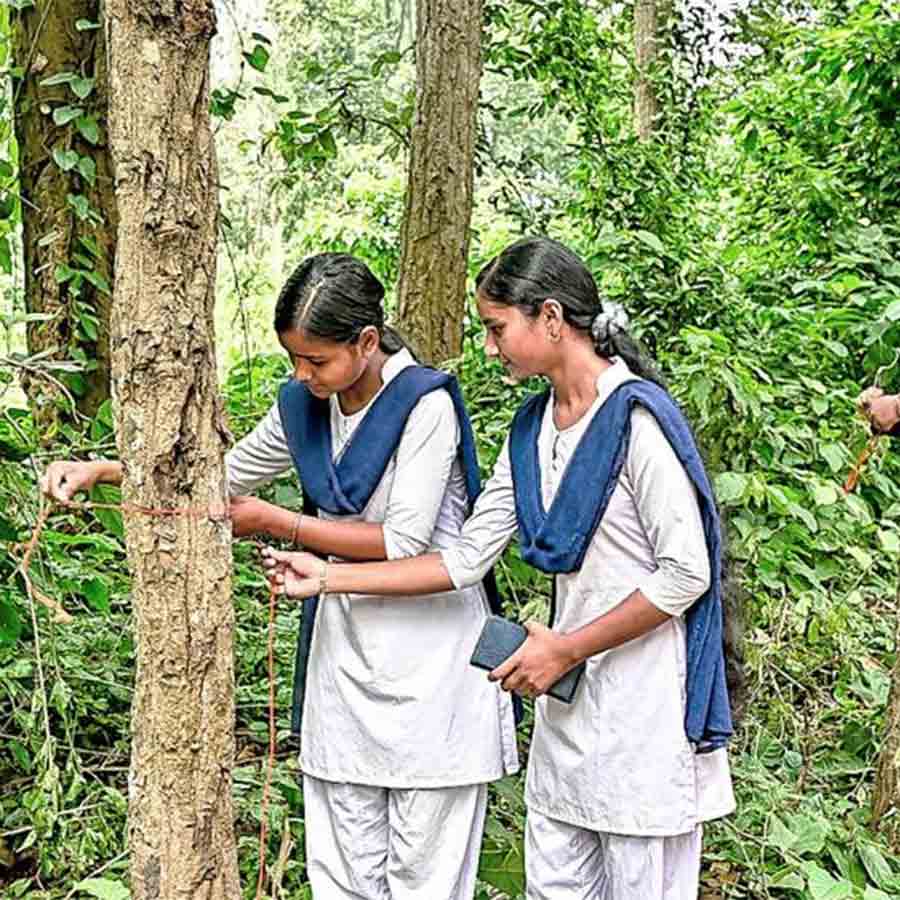 Rakhis tied on tress as a greenery promotion movement at Bankura