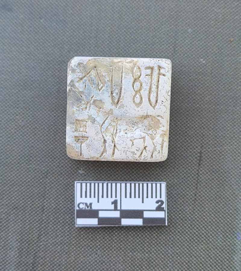 সাম্প্রতিক উৎখননে পাওয়া হরপ্পার সিল। 