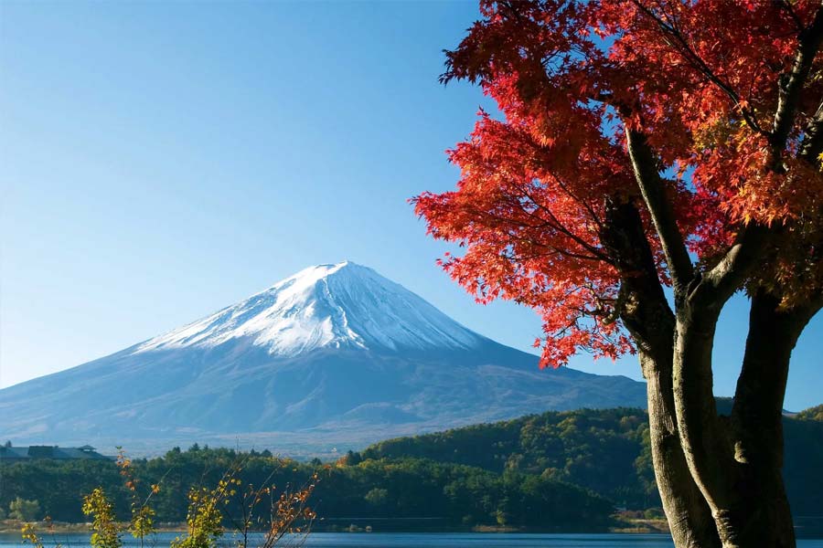 Japan wants to nuclear weapon for its military amid US coldness in Chinese aggression in Pacific Ocean