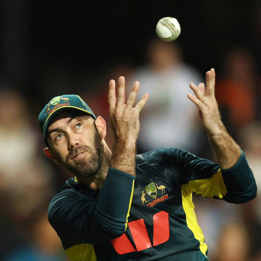 cricket