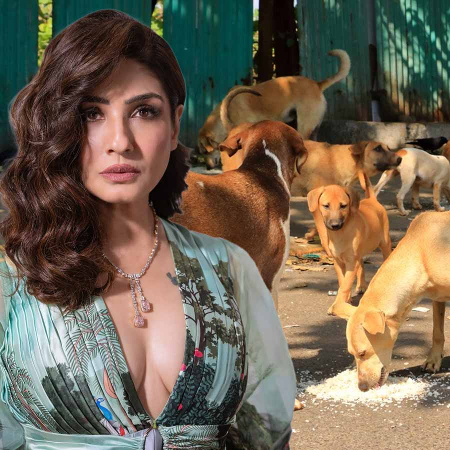 Actress Raveena tandon blames local bodies of Delhi NCR for the stray dogs' relocation dgtl