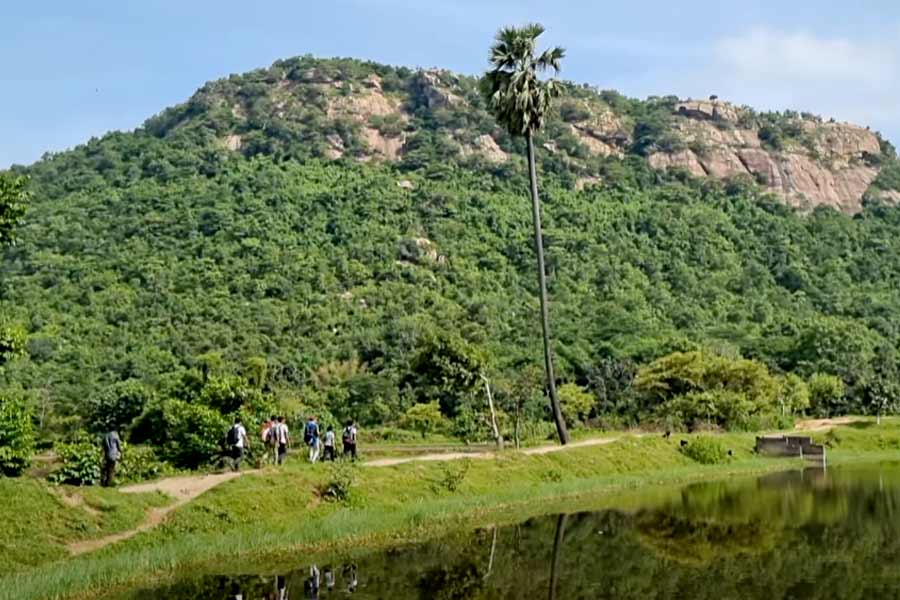 চেমটাবুরু এখানকার উচ্চতম শৃঙ্গ। সুযোগ হলে পাহাড় চড়ার পরিকল্পনাও করতে পারেন।