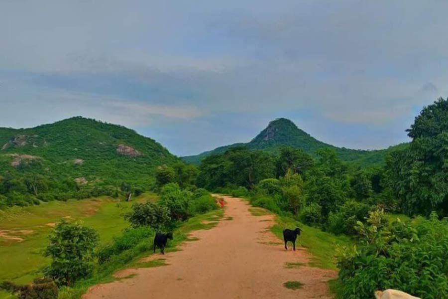 জাজাহাতুকে ঘিরে রয়েছে ছোটবড় টিলা।