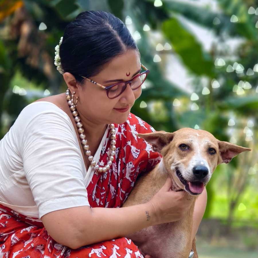 Swastika Mukherjee On Supreme court verdict on stray dog up in shelters dgtl