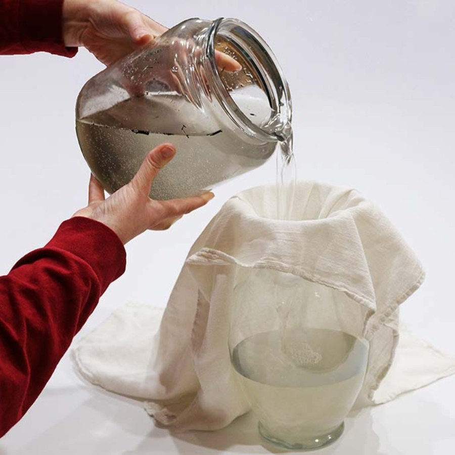 নিজের সাধ্যের মধ্যেও একাধিক উপায় জল পরিশুদ্ধ করতে পারেন।