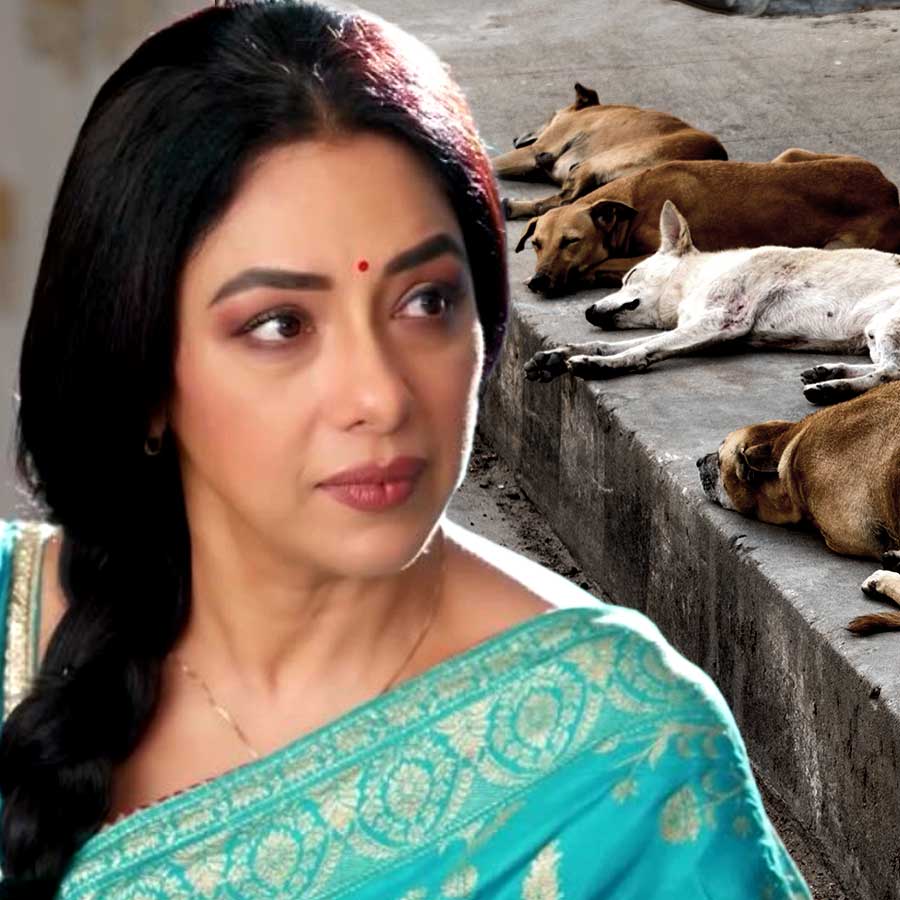 Rupali Ganguly slams troll accusing her of eating meat but speaking for stray dogs