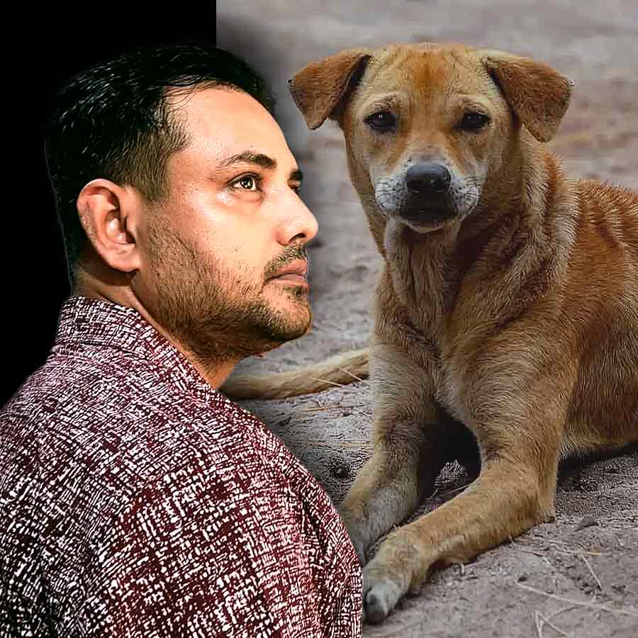 Actor Tathagata Mukherjee shares his view on the relocation of stray dogs in Delhi dgtl