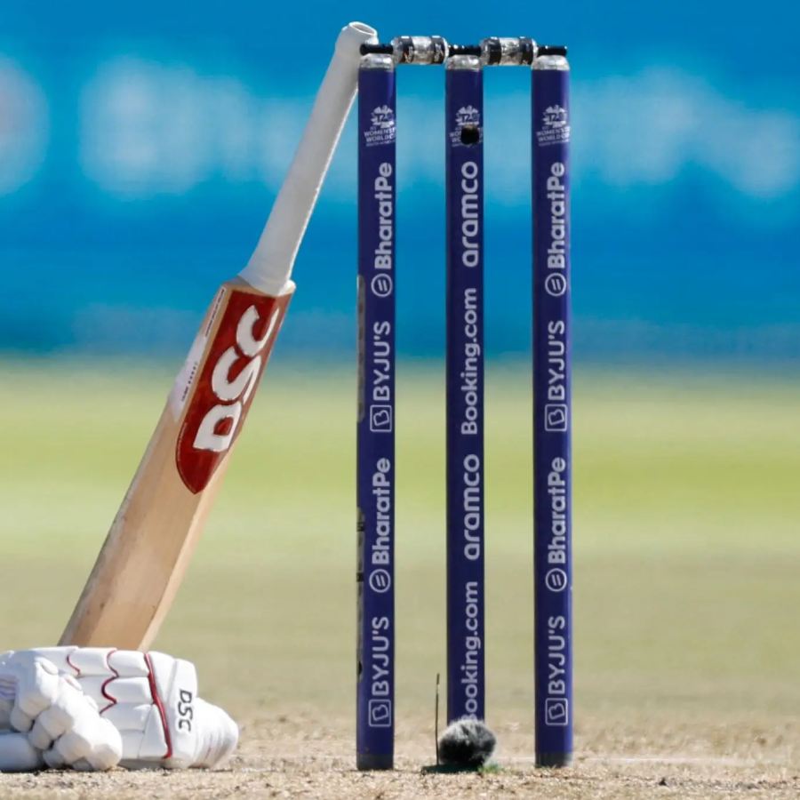 picture of cricket