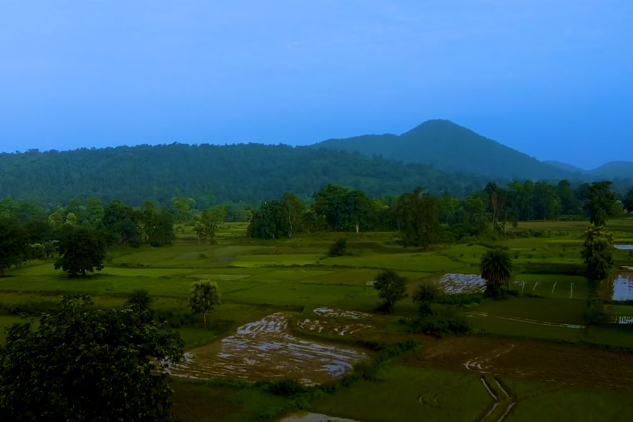 বর্ষায় ঘন সবুজ হয়ে থাকে আমলাশোলের আশপাশ।