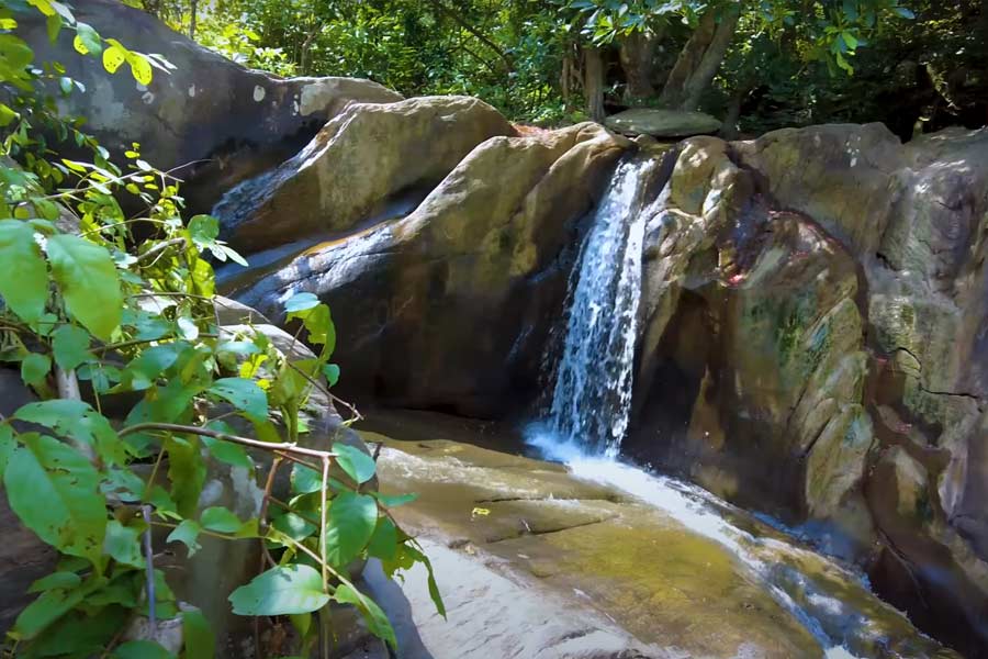 ঘুরে নিতে পারেন ঢাঙ্গিকুসুমও।