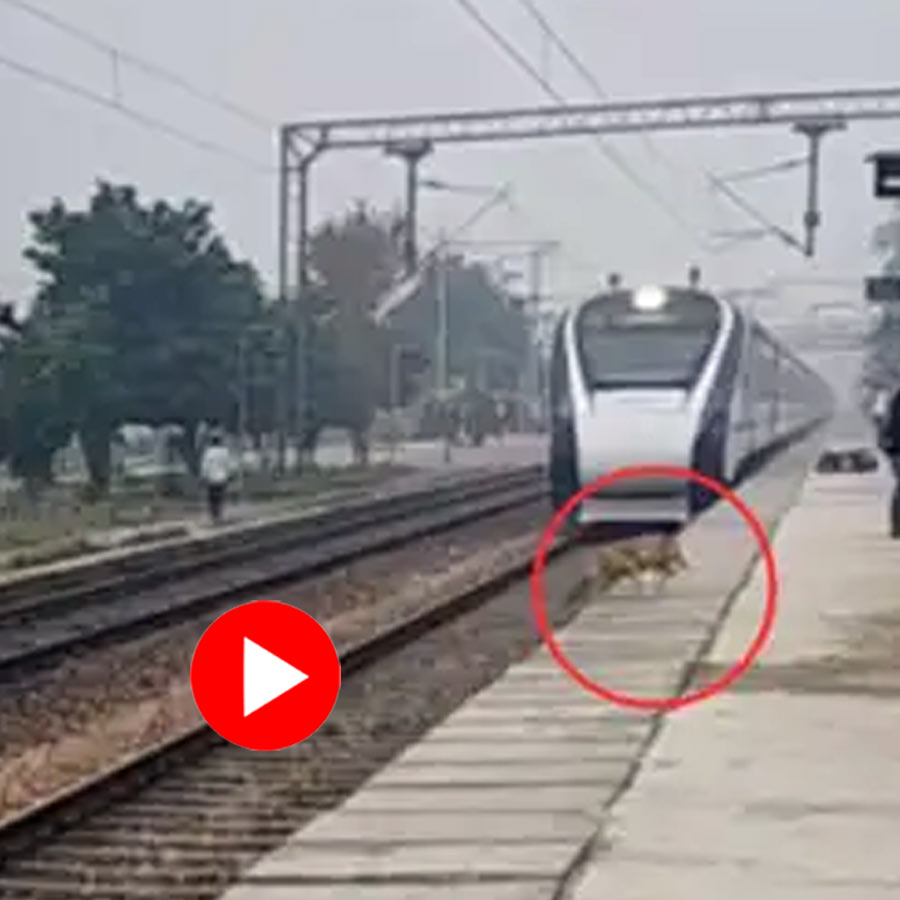 dog jumps in front of Vande Bharat