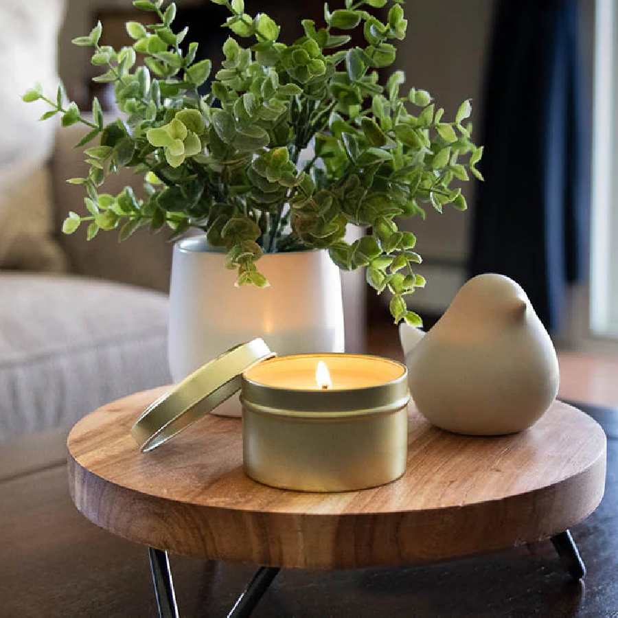 সবুজের ছোঁয়া, সুগন্ধী মোম বদলে দিতে পারে ঘরের পরিবেশ।