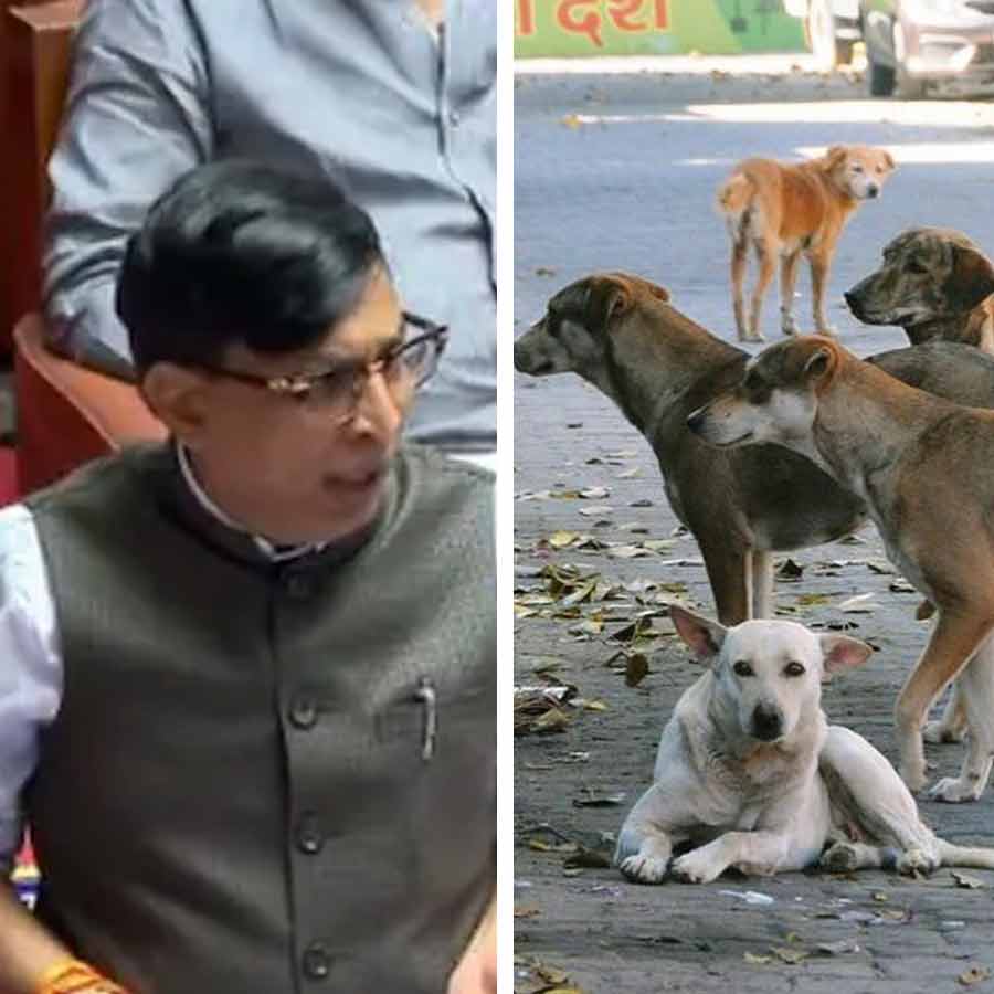 Karnataka JDS leader claims he oversaw killing of more than two thousand stray dogs dgtl