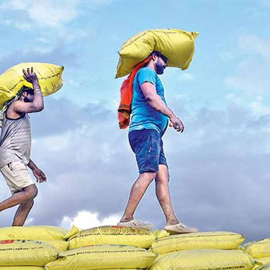 While the constitution grants citizens the right to free movement within the country, the state has no apparent obligation to provide services or protection