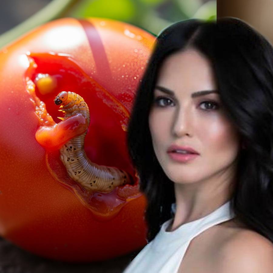 Sunny leone says she found worm in tomato, what should you do if you find the same dgtl