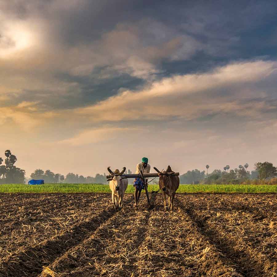 Indian farmers urged to PM Narendra Modi for ban on US companies amid Donald Trump’s tariff war