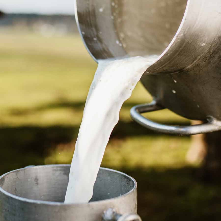 Indian farmers urged to PM Narendra Modi for ban on US companies amid Donald Trump’s tariff war