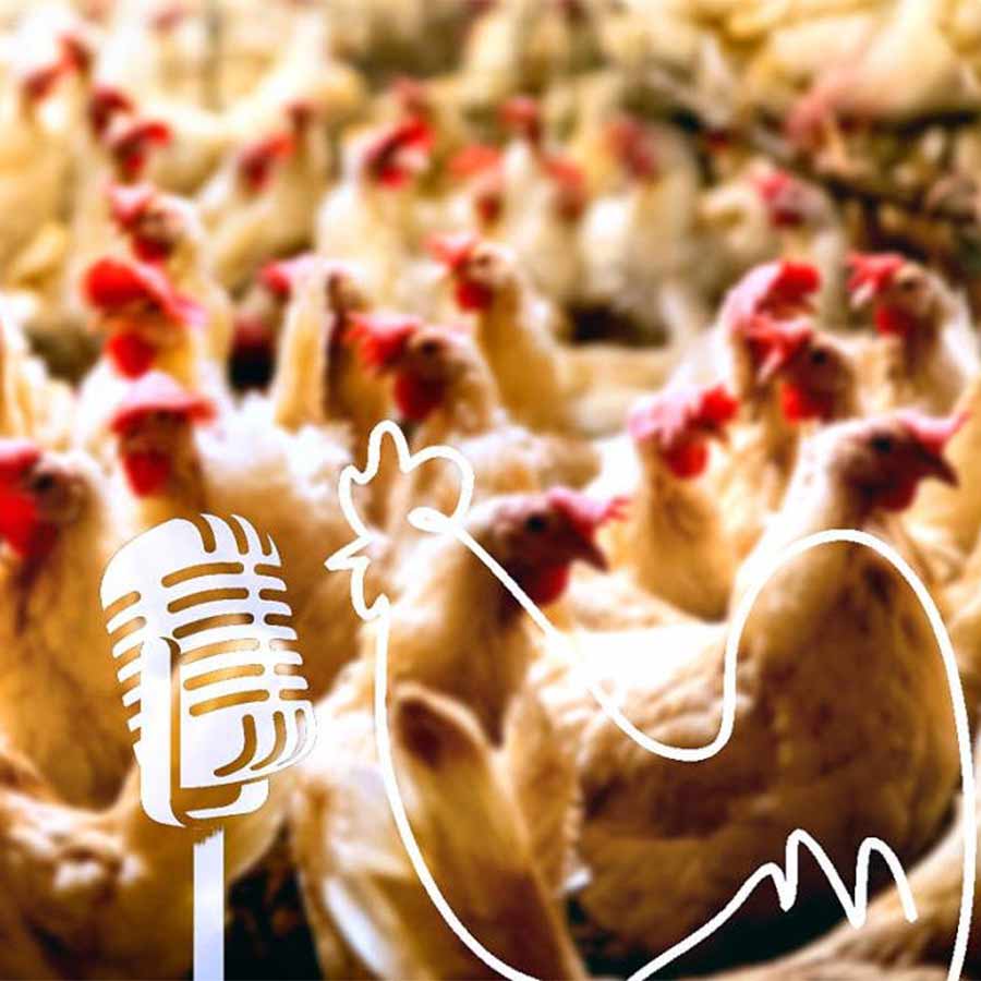 It was not possible for William Morris to accept 'common sense'