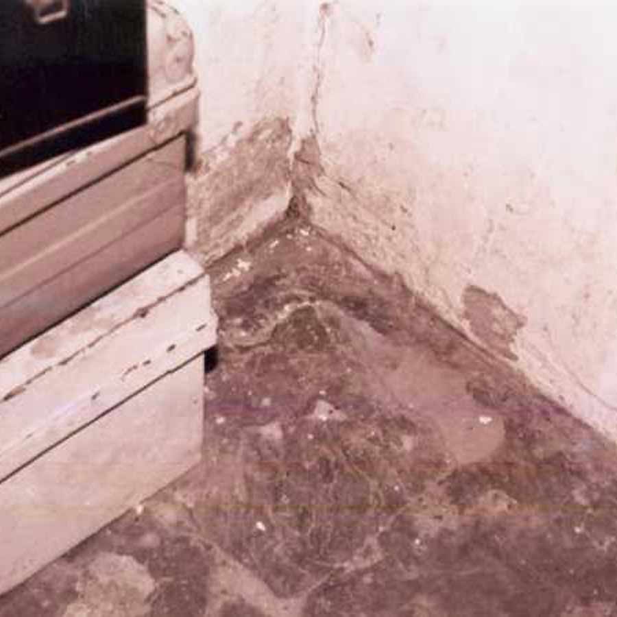 ১৯৩৫ সালের নভেম্বর মাসে শান্তিকে নিয়ে মথুরার উদ্দেশে রওনা হন তদন্ত কমিটির সদস্যেরা। কেদারনাথের বাড়ি, লুগদির বাপের বাড়িতে নিয়ে যাওয়া হয় শান্তিকে। সেখানে গিয়ে হাতের তালুর মতো সব কিছু চিনে ফেলে শান্তি। এমনকি, শ্বশুরবাড়িতে কোন ফুলদানির তলায় লুগদি টাকা জমিয়ে রেখেছিল, তা-ও স্পষ্ট বলে দেয় শান্তি।