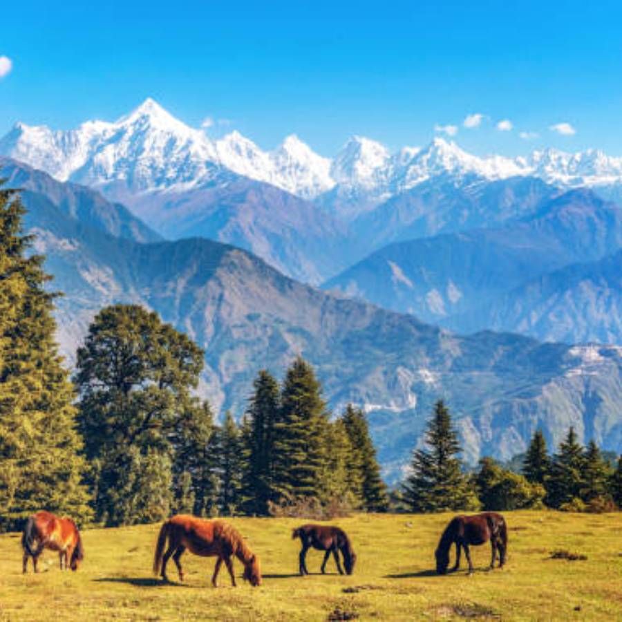 Train Travel or road trip, which mode of travel is convenient dgtl